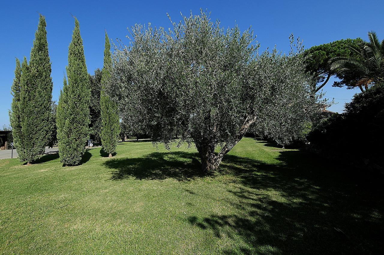 Agriturismo Il Pelago Castagneto Carducci Exterior foto